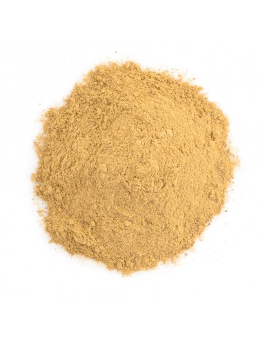 limon-en-polvo